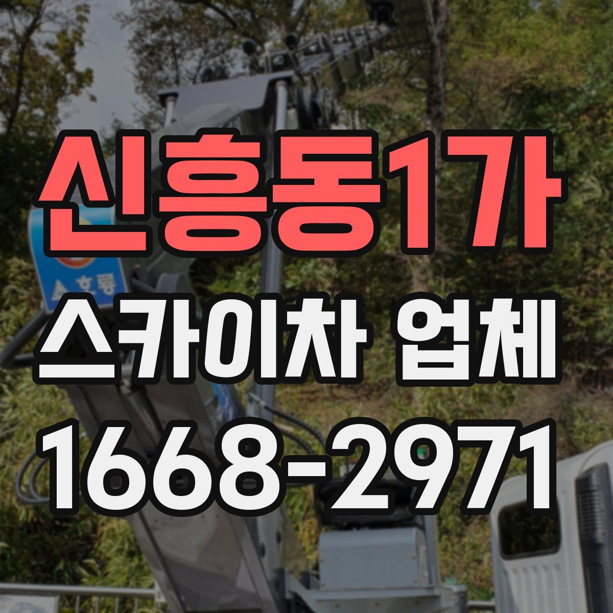 신흥동1가 스카이차 업체