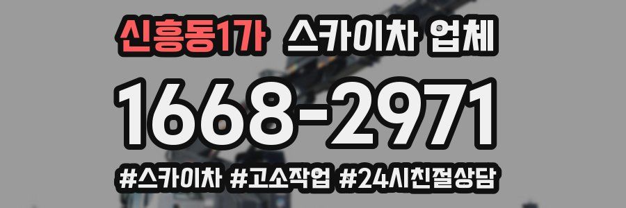 신흥동1가 스카이차 업체