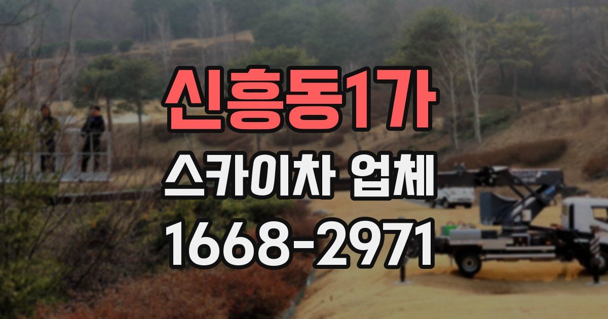 신흥동1가 스카이차 업체