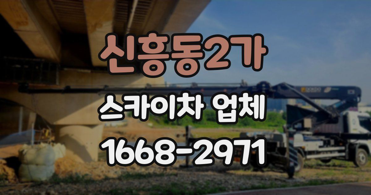 신흥동2가 스카이차 업체