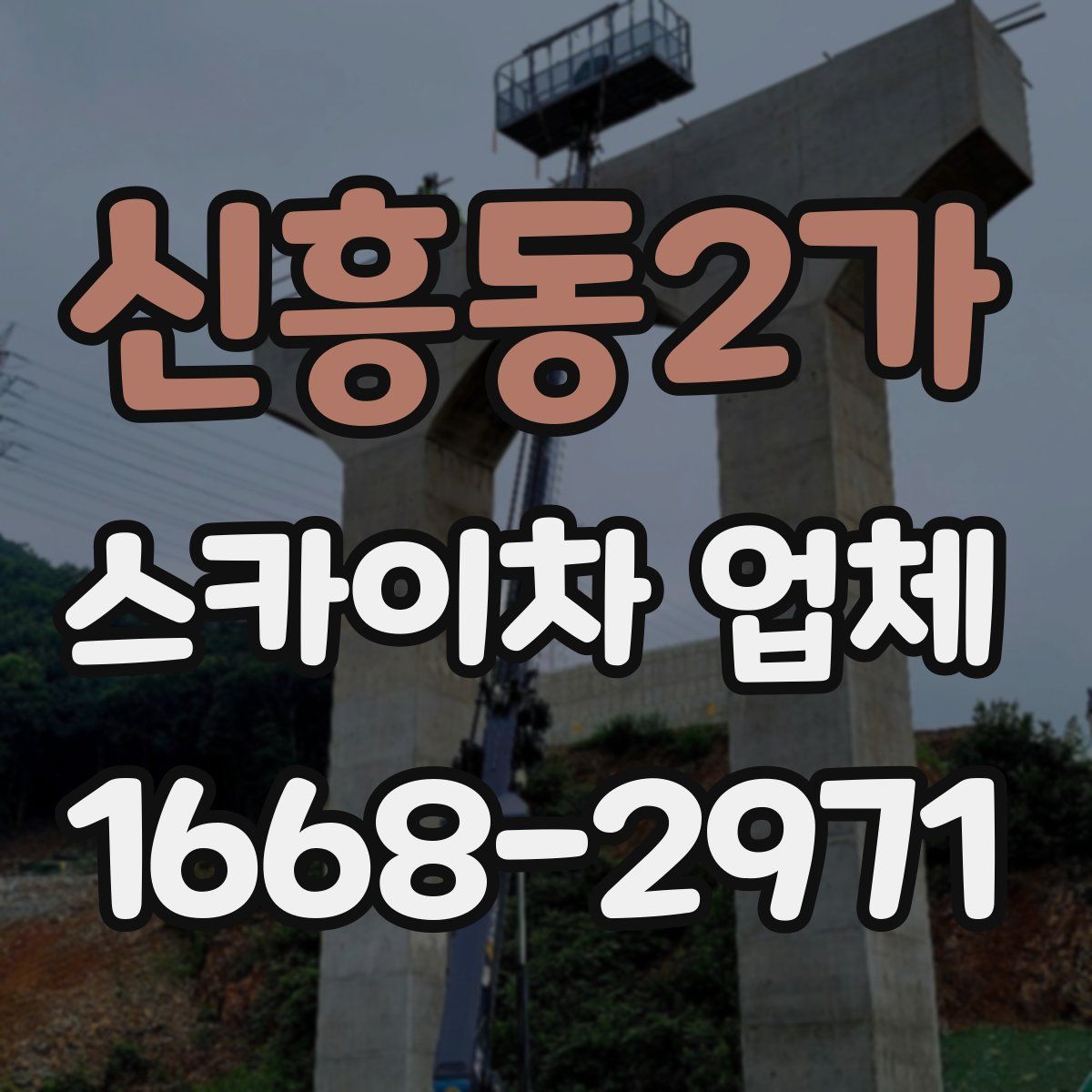 신흥동2가 스카이차 업체