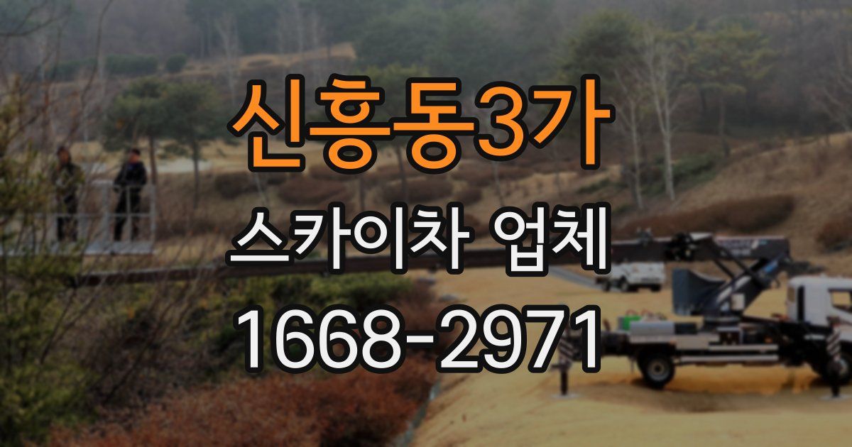 신흥동3가 스카이차 업체