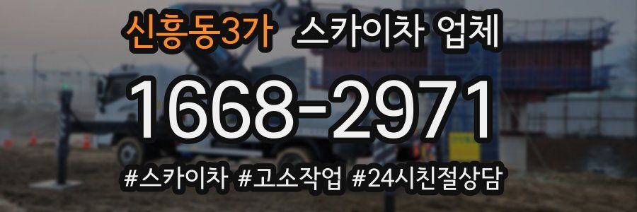 신흥동3가 스카이차 업체