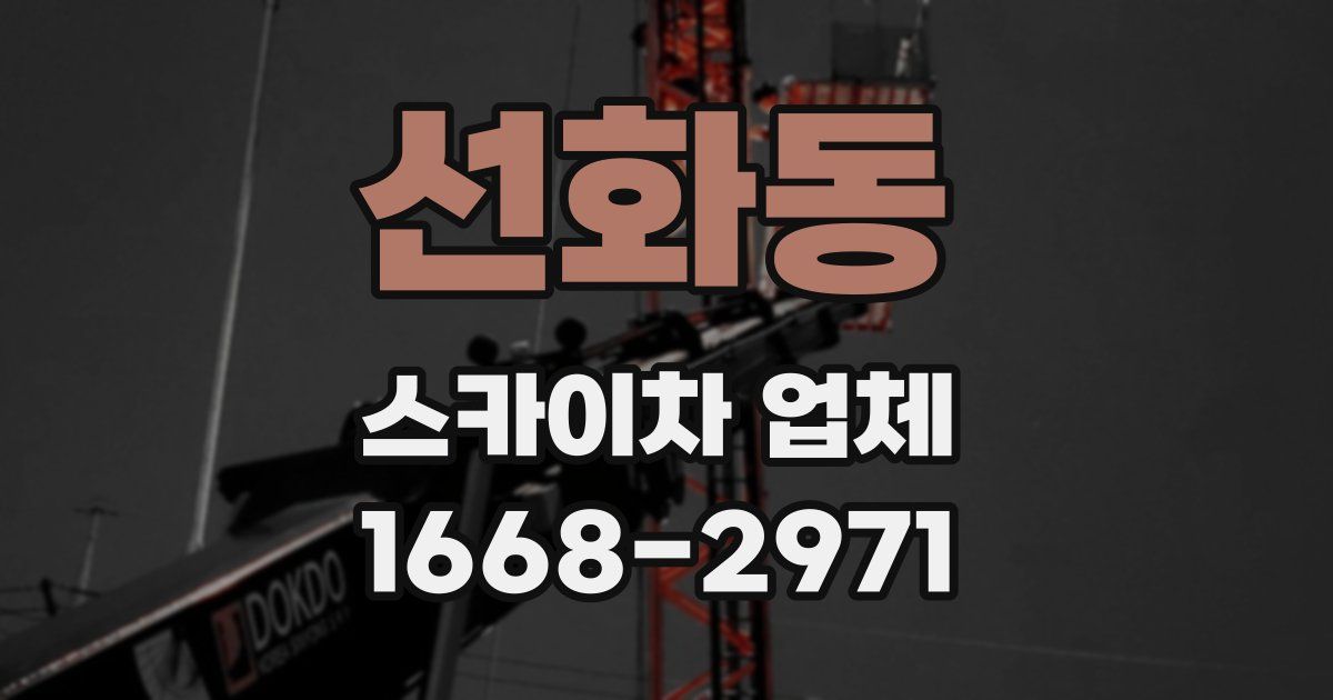 선화동 스카이차 업체