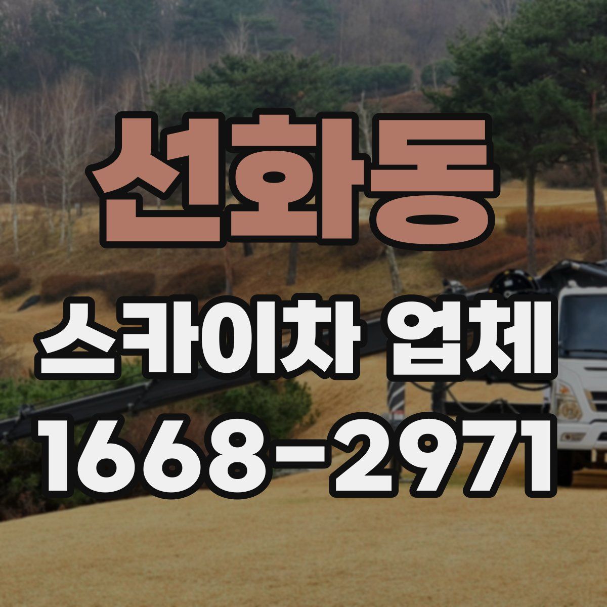선화동 스카이차 업체