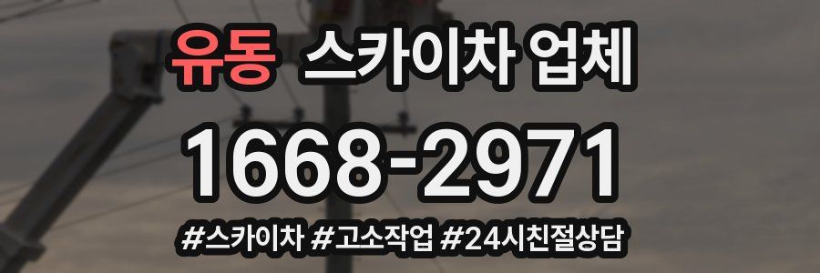 유동 스카이차 업체