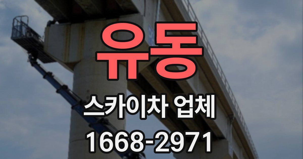 유동 스카이차 업체