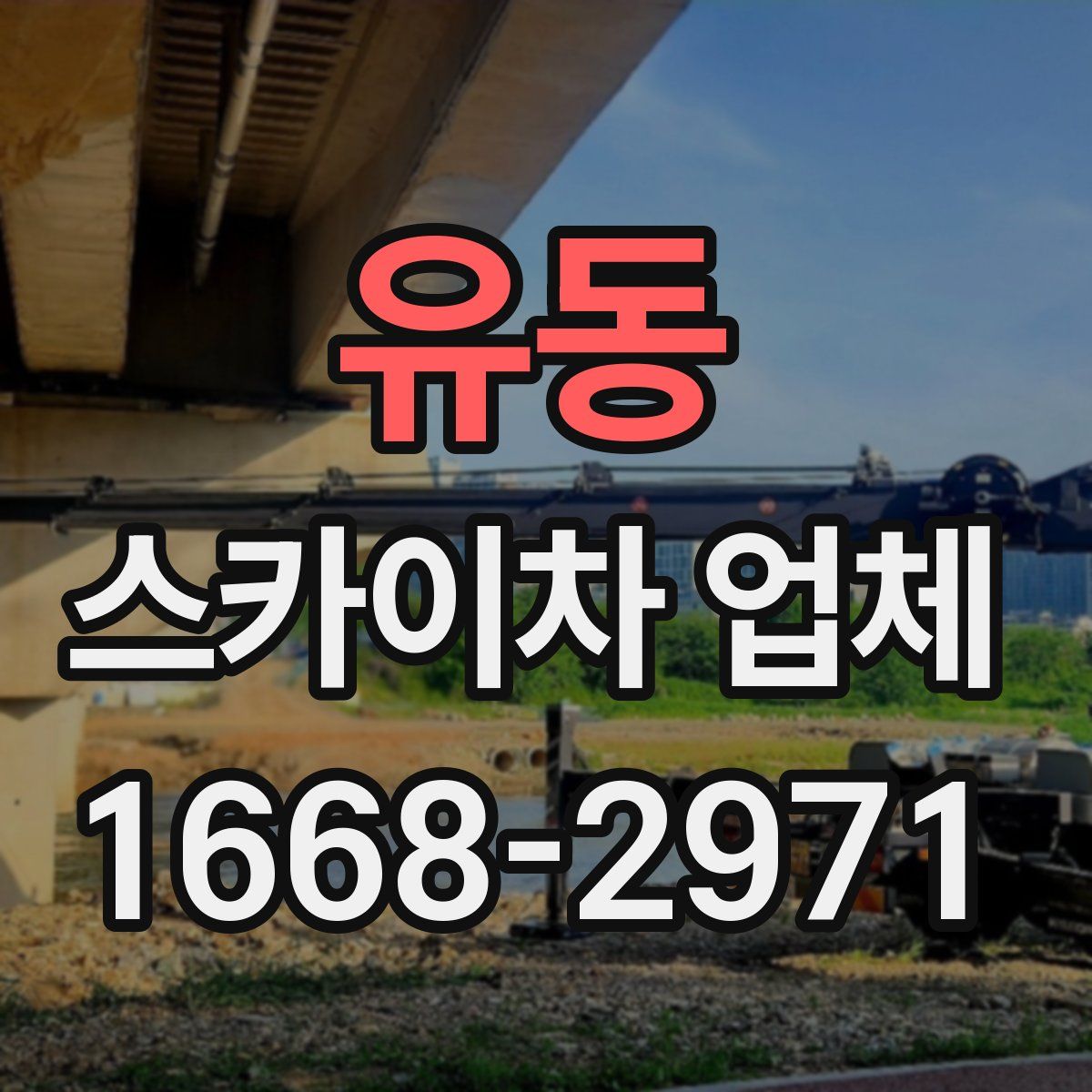 유동 스카이차 업체