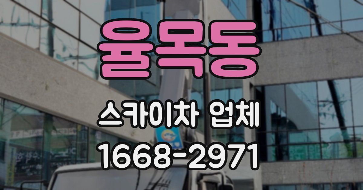 율목동 스카이차 업체