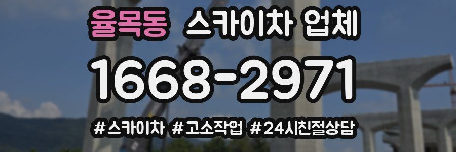 율목동 스카이차 업체
