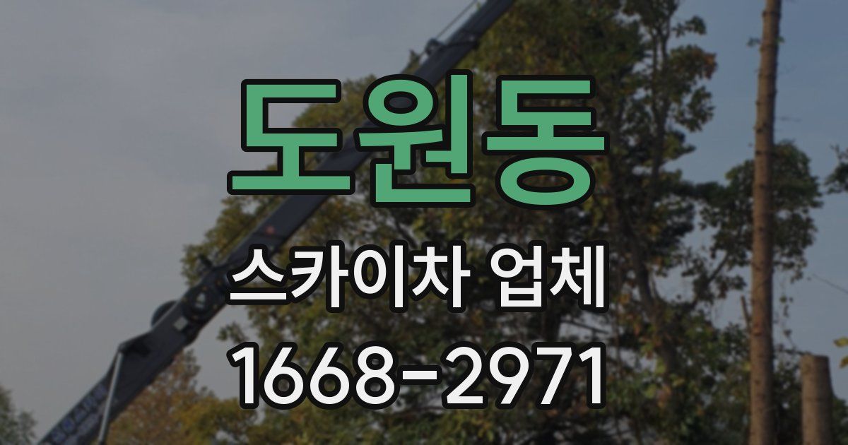 도원동 스카이차 업체