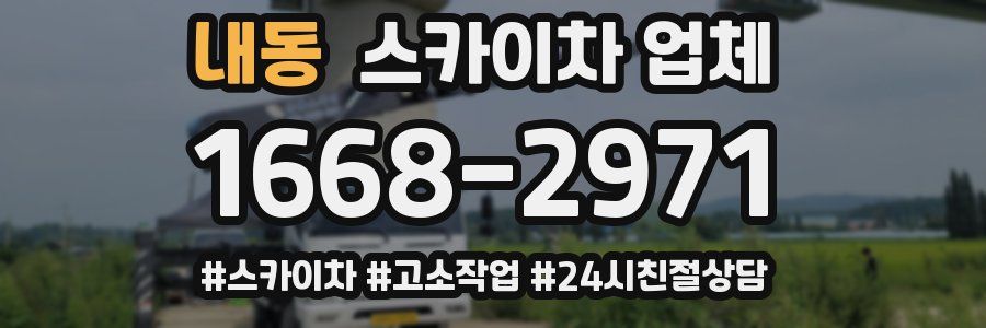 내동 스카이차 업체