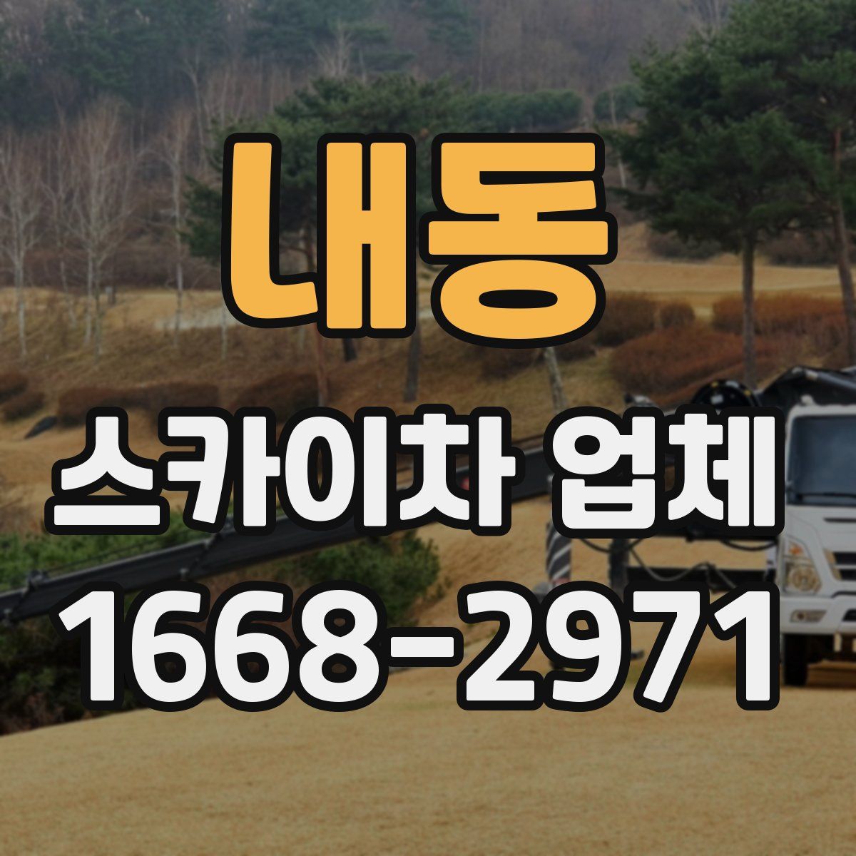 내동 스카이차 업체