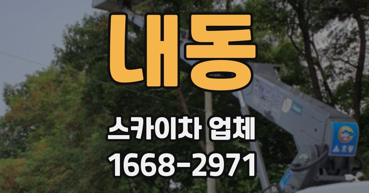 내동 스카이차 업체