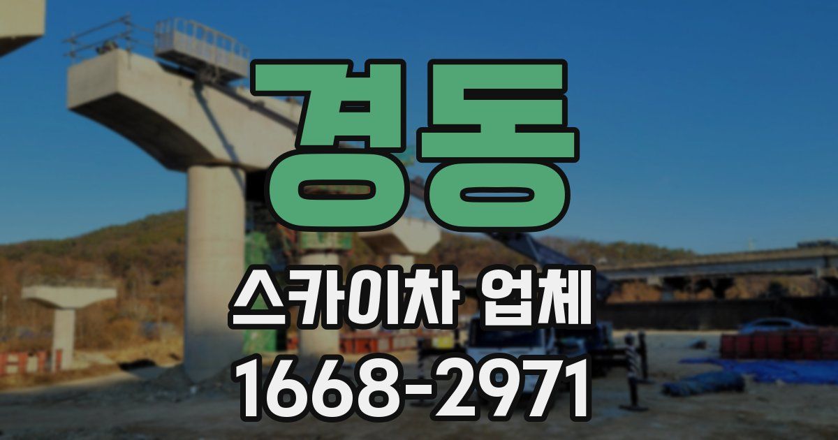 경동 스카이차 업체