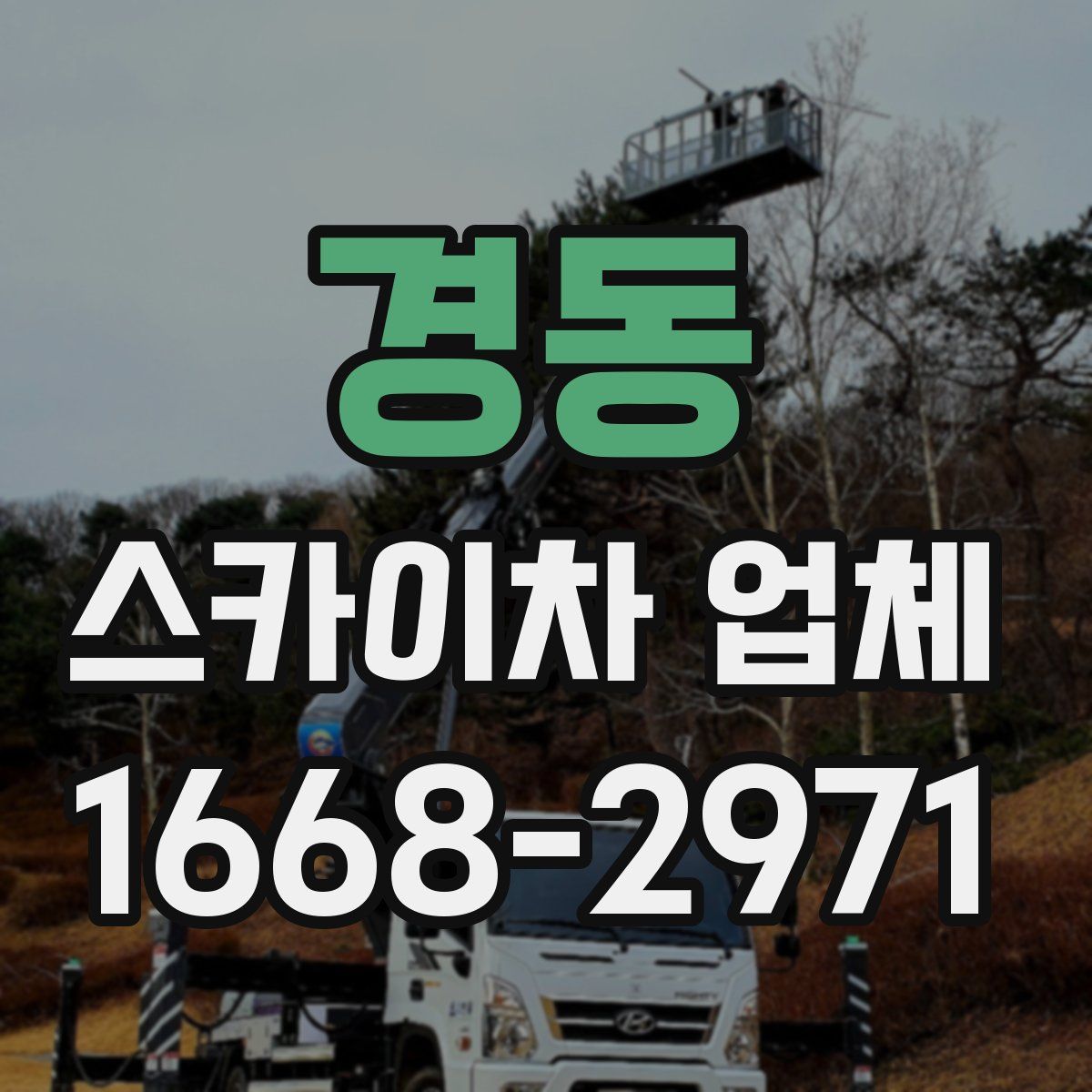 경동 스카이차 업체