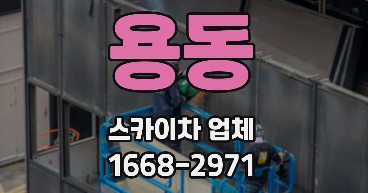 용동 스카이차 업체