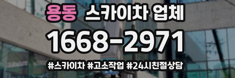용동 스카이차 업체