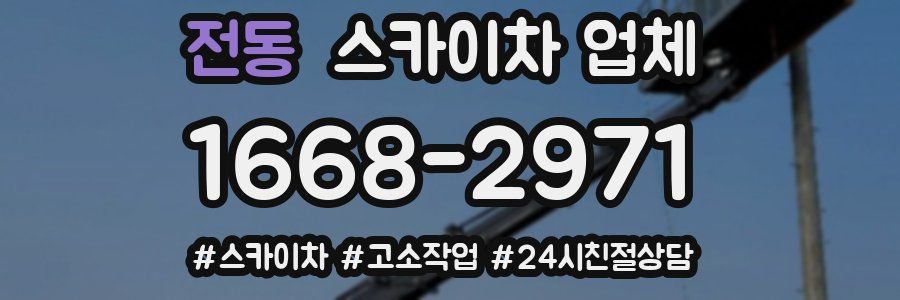 전동 스카이차 업체