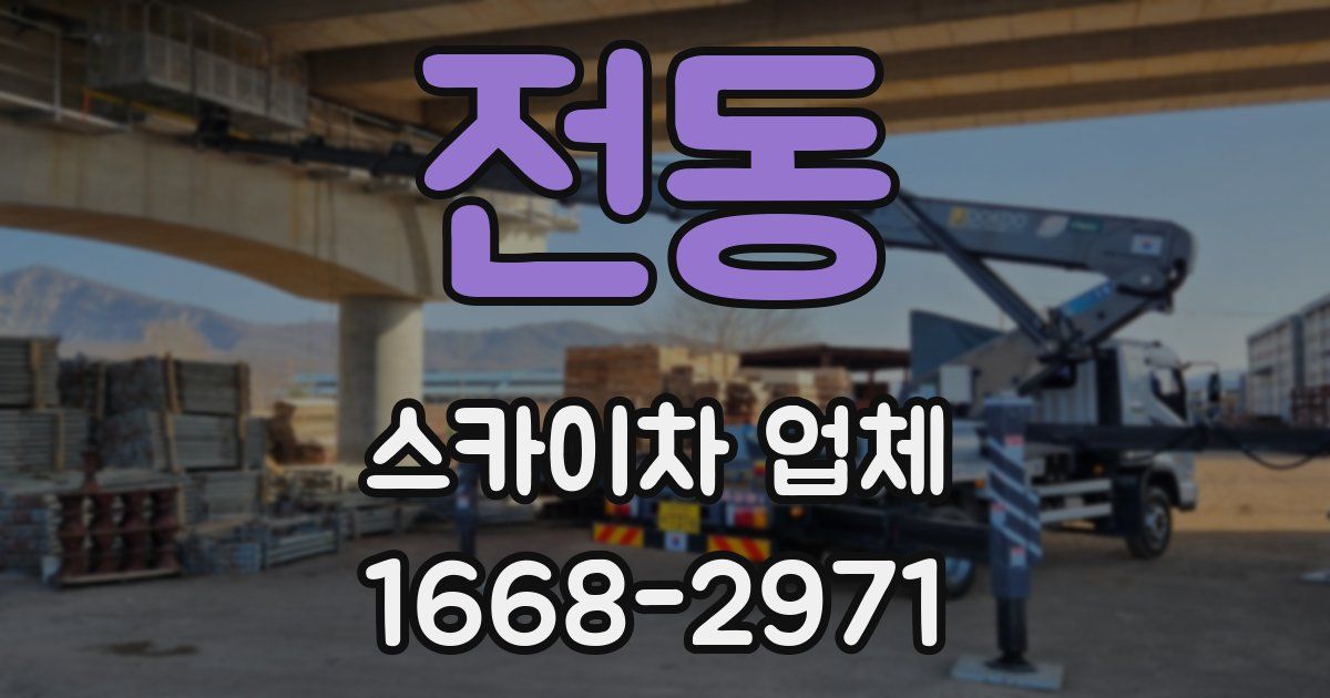 전동 스카이차 업체