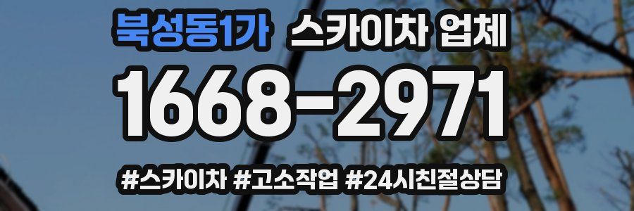 북성동1가 스카이차 업체
