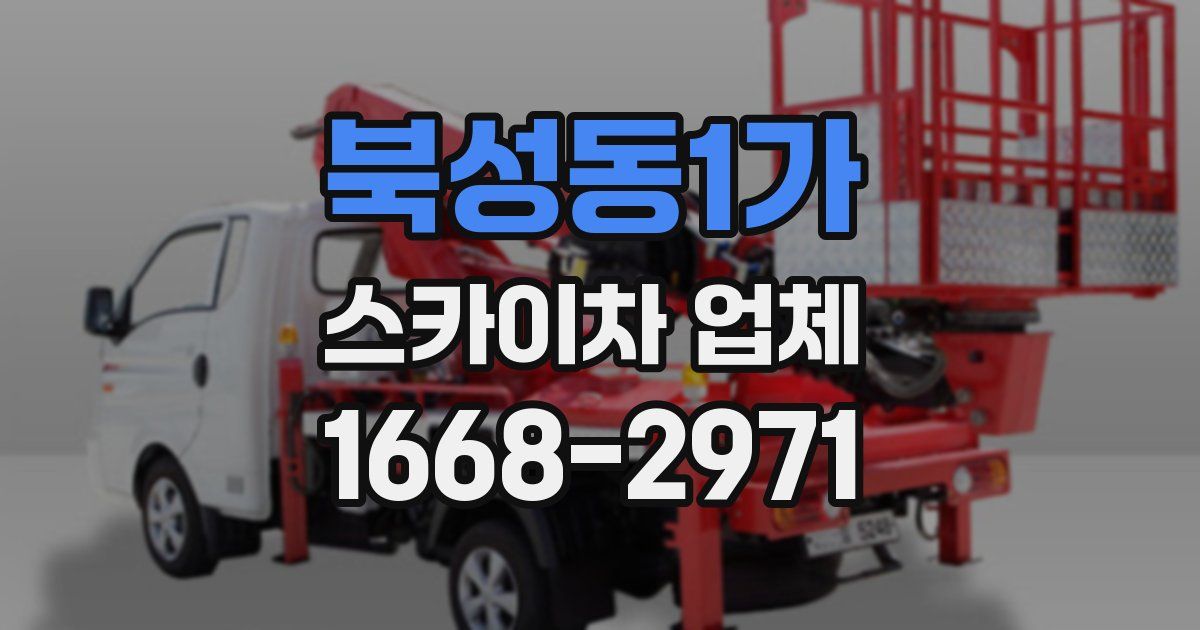북성동1가 스카이차 업체