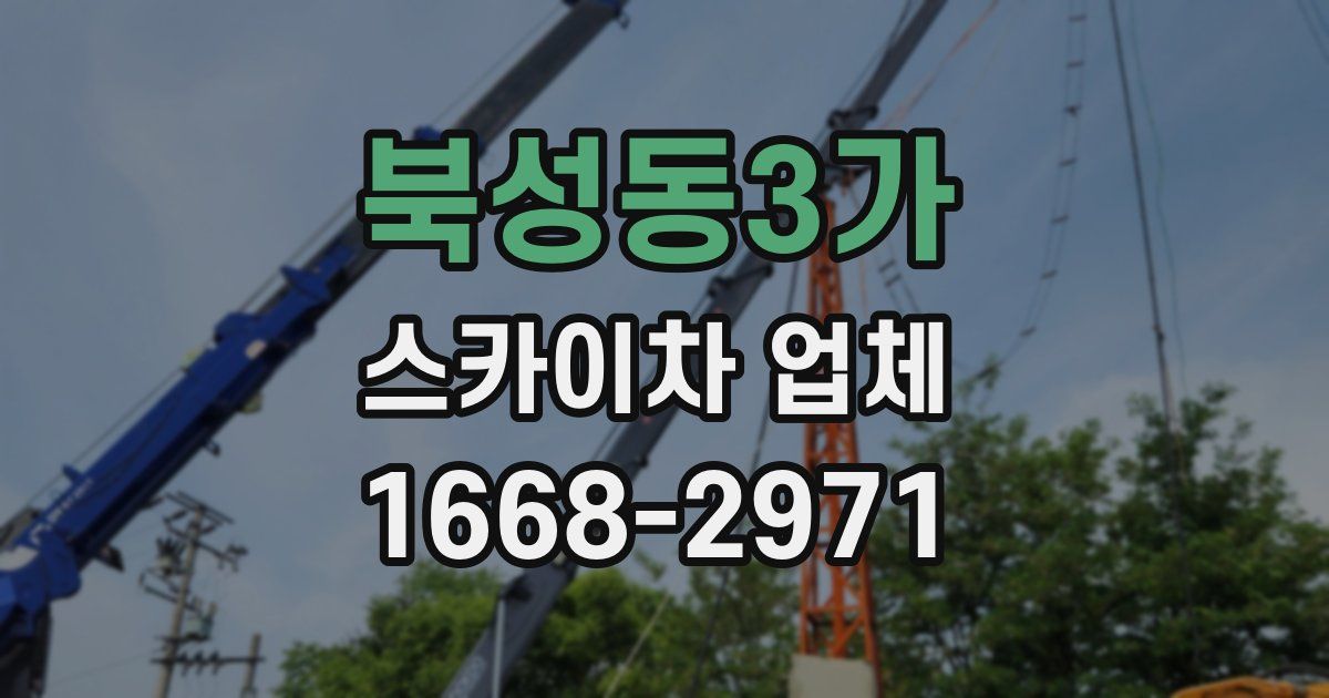 북성동3가 스카이차 업체