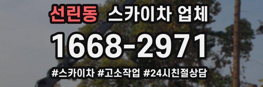 선린동 스카이차 업체