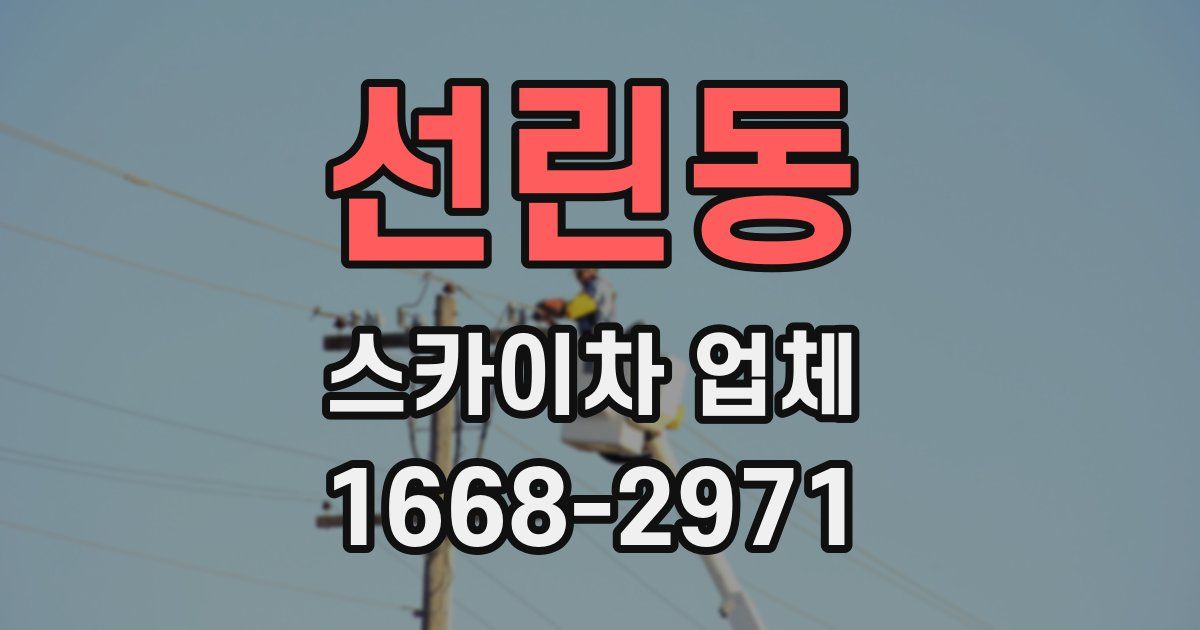 선린동 스카이차 업체