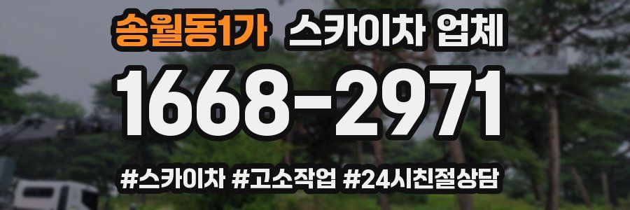 송월동1가 스카이차 업체