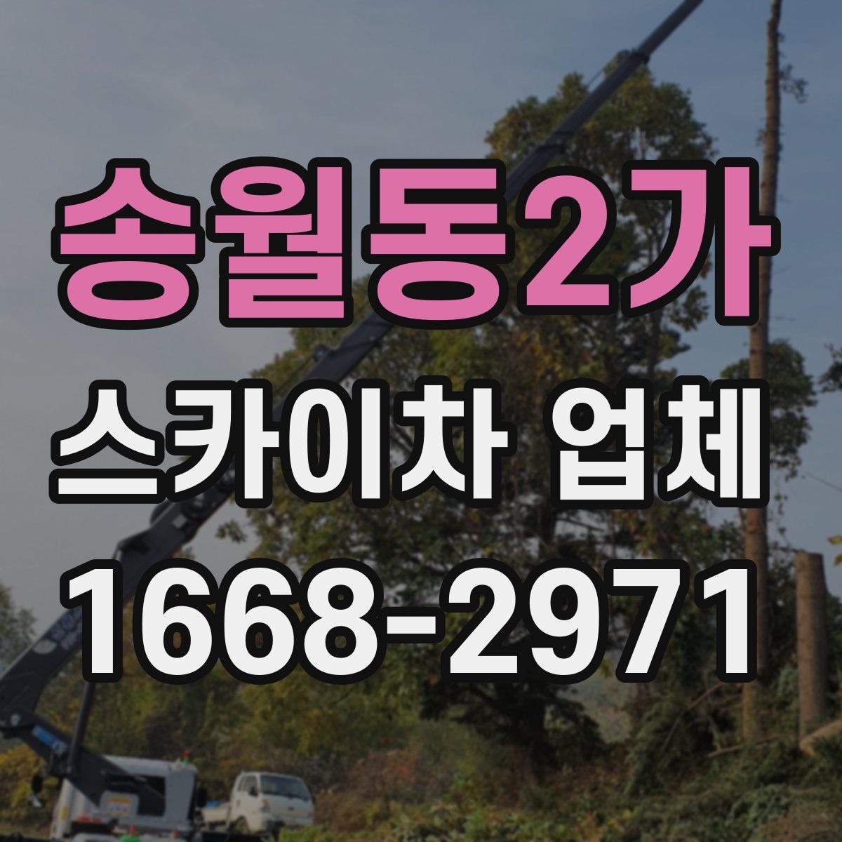 송월동2가 스카이차 업체