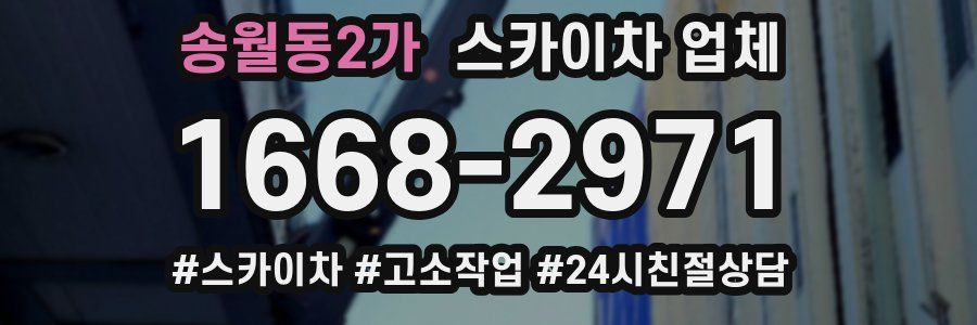 송월동2가 스카이차 업체