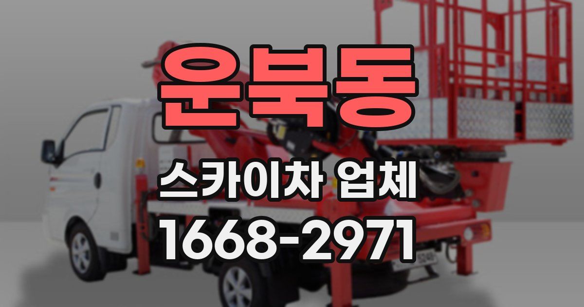 운북동 스카이차 업체