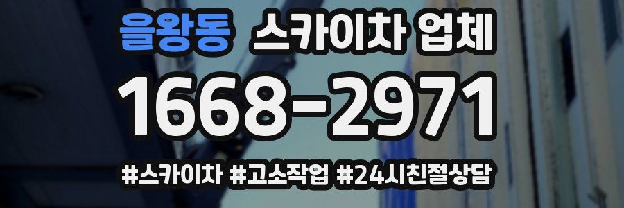 을왕동 스카이차 업체