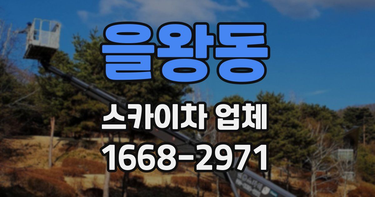 을왕동 스카이차 업체