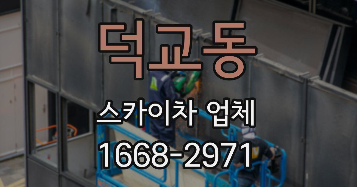 덕교동 스카이차 업체