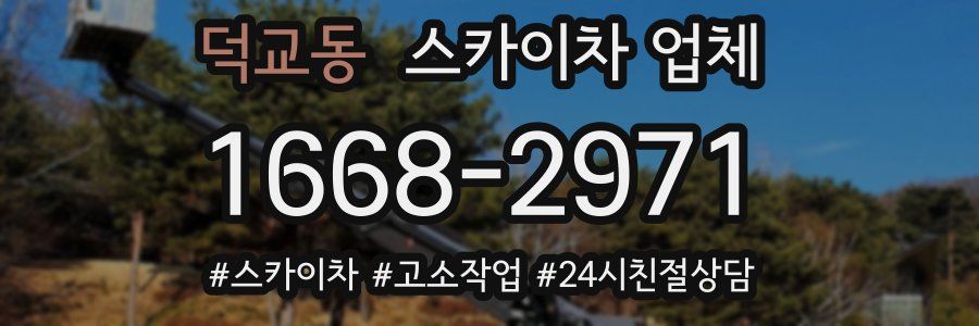 덕교동 스카이차 업체