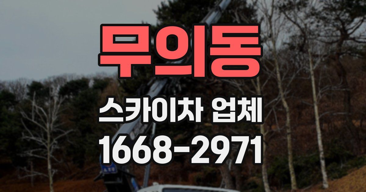 무의동 스카이차 업체