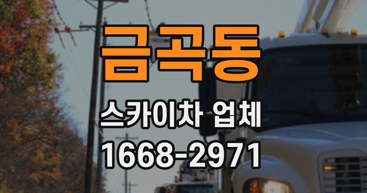 금곡동 스카이차 업체