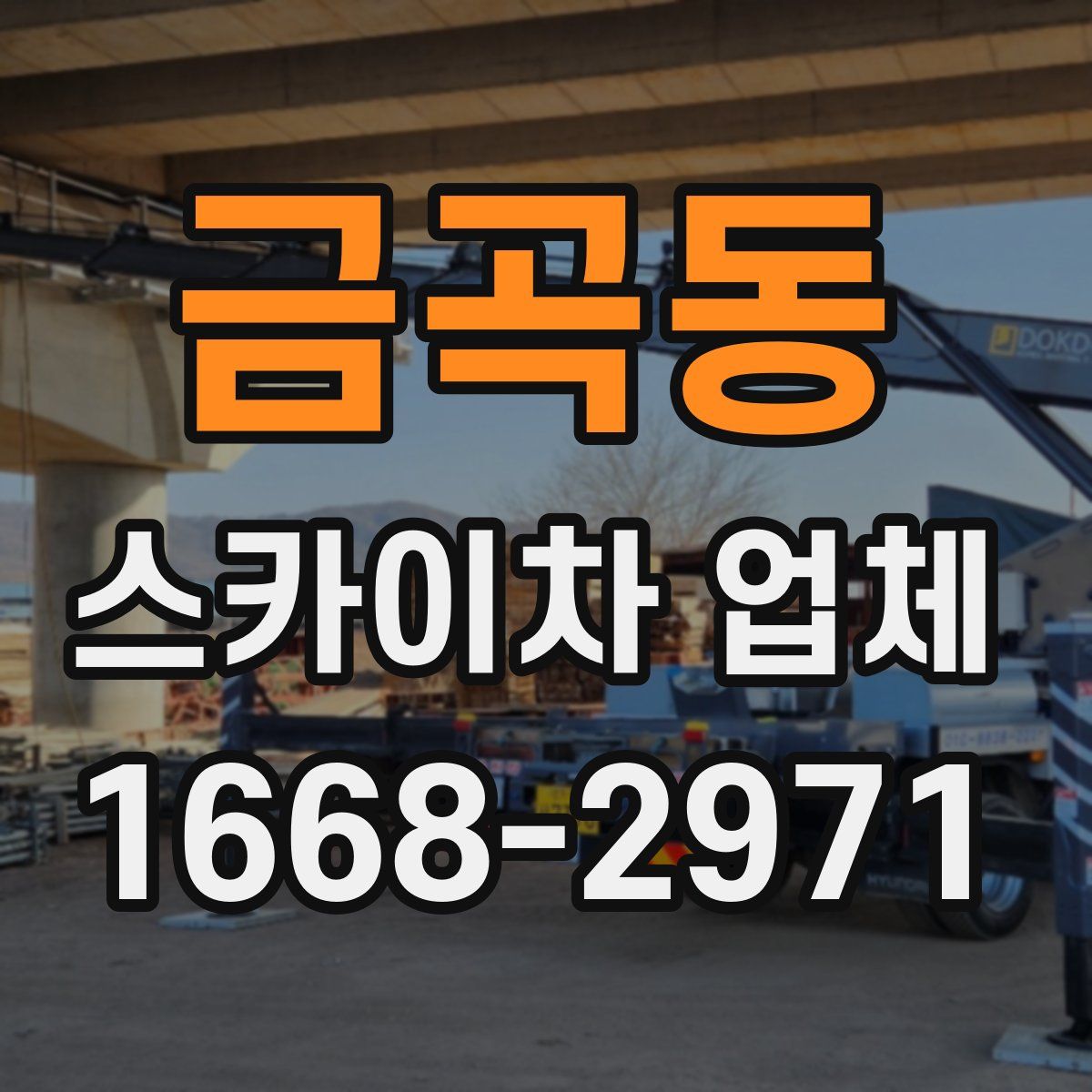 금곡동 스카이차 업체