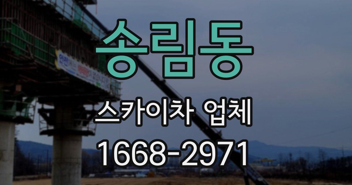 송림동 스카이차 업체