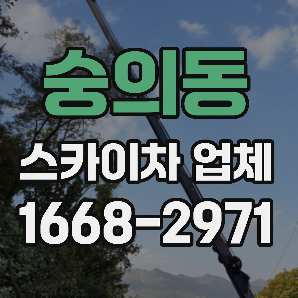 숭의동 스카이차 업체