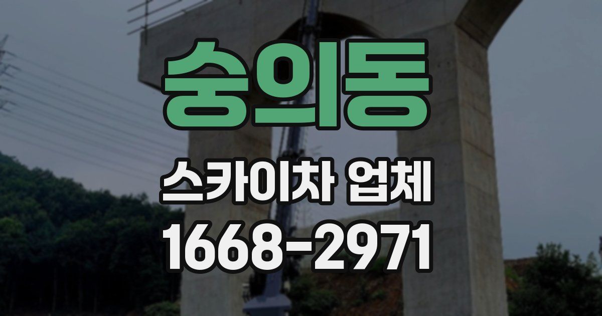 숭의동 스카이차 업체