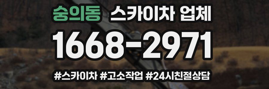 숭의동 스카이차 업체
