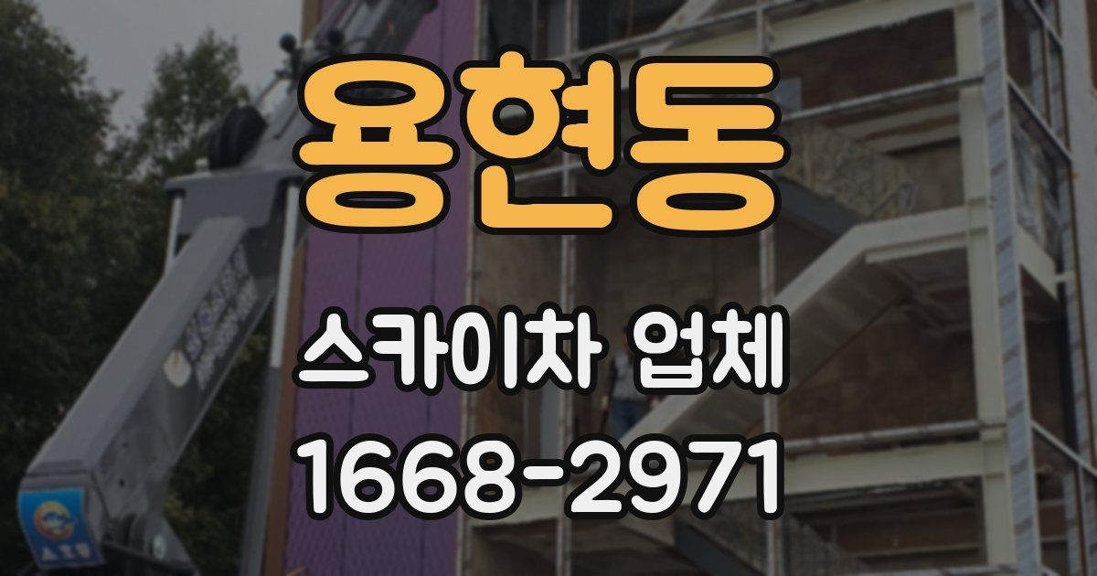 용현동 스카이차 업체