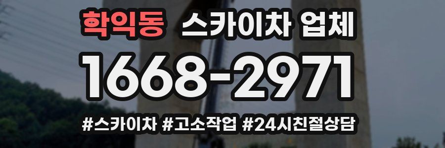 학익동 스카이차 업체
