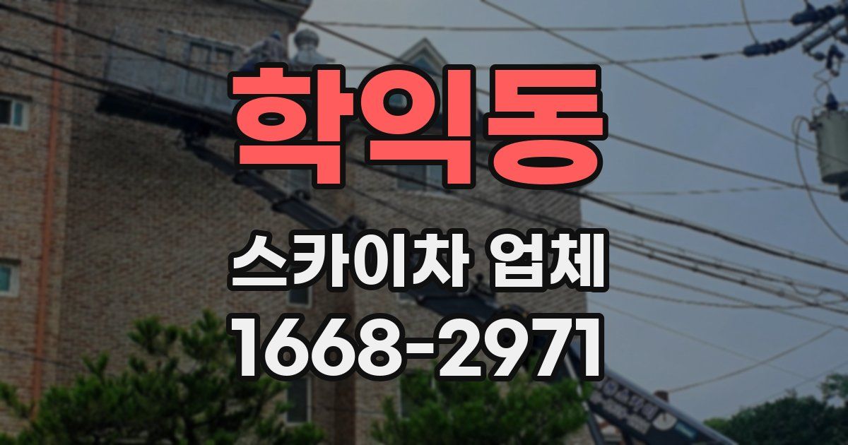 학익동 스카이차 업체