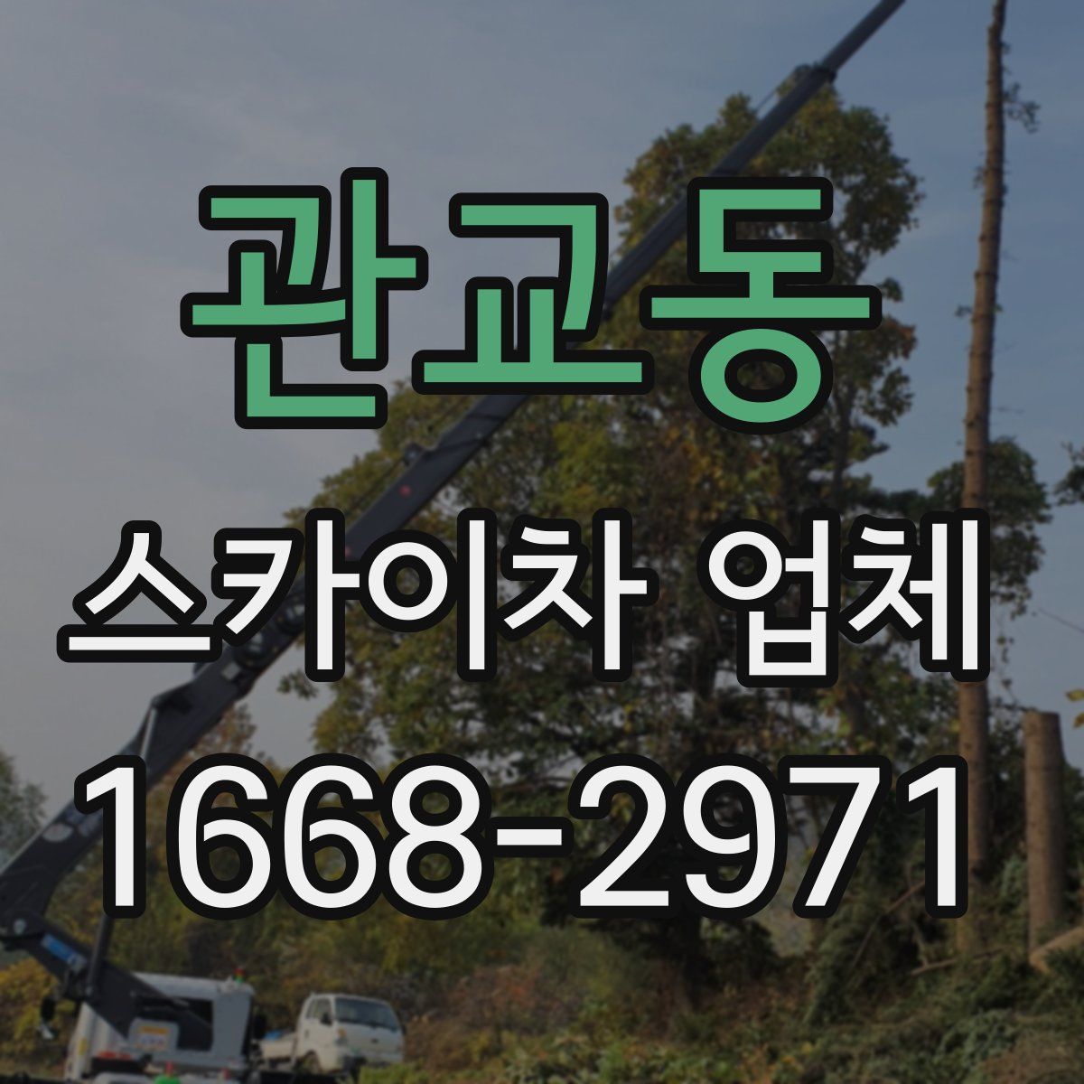 관교동 스카이차 업체