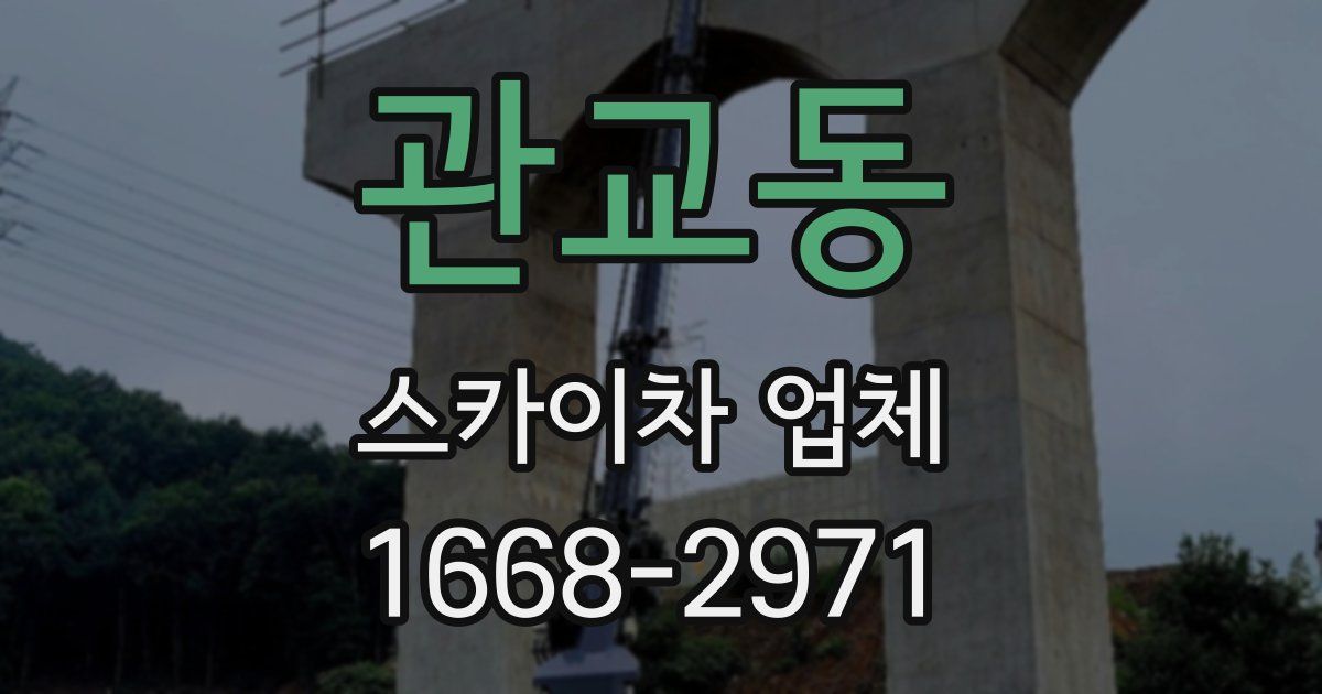 관교동 스카이차 업체