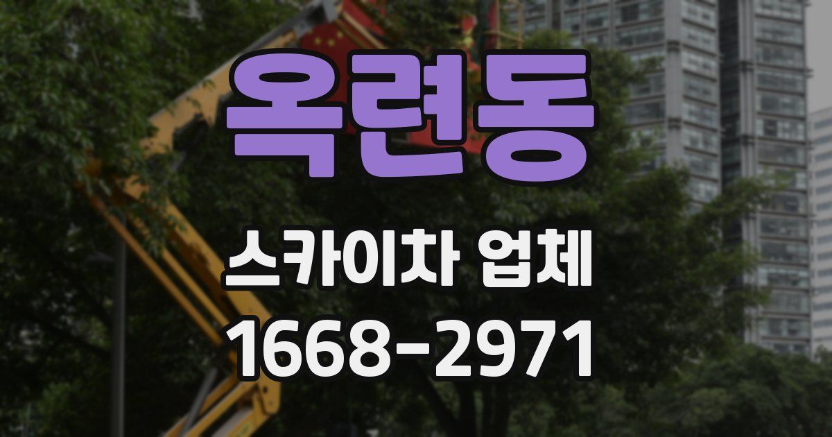 옥련동 스카이차 업체